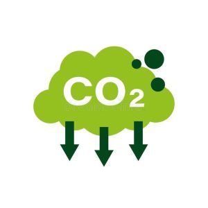 Year 2050 Target to Become Carbon Net-Zero